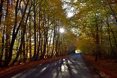 Autumnal Cumbria