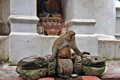 2017-10 03 Swayambhunath, The Monkey Temple