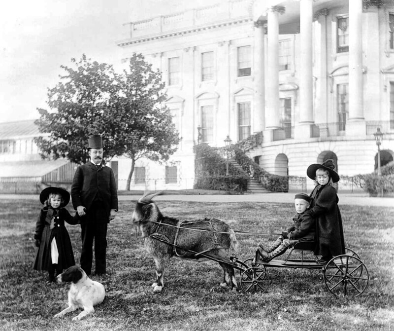 Major Russell Harrison and Harrison children outside the White House, 1890