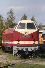 Baureihen 219, 229 (DR 119)
