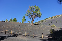 Lava Flow Trail