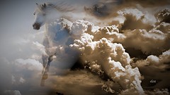 un incontro  tra le nuvole