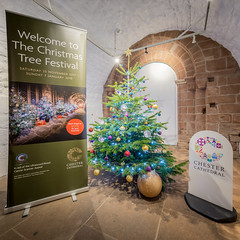 Chester Cathedral Christmas Tree Festival 2017