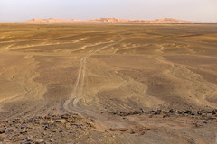Morocco - Erg Chebbi Dunes - Desert
