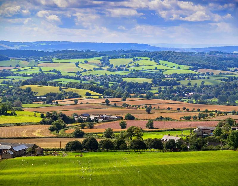 South Devon countryside near Sidmouth. Credit Bob Radlinski