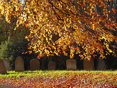 Norwich, Earlham Cemetery