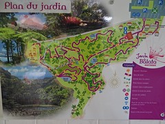 Martinique - Jardin de Balata