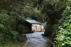 Tsaoling Historical Trail