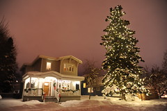 Festive Christmas tree and house, Merry Christmas, Anchorage, Alaska