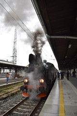 Polish Steam Specials