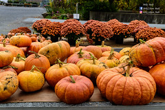Pumpkin_Nursery