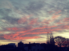 The Sky/ Sunset/ Sunrise