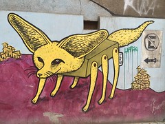 Graffitis y Murales