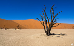 Namibia - 2014