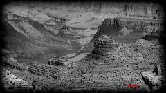 Grand Canyon In Black & White
