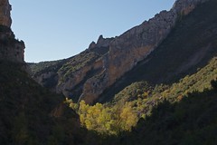 Aragón 2017