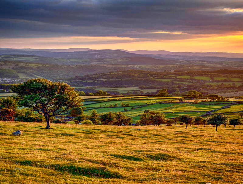 Early evening on Dartmoor. Credit Baz Richardson, flickr