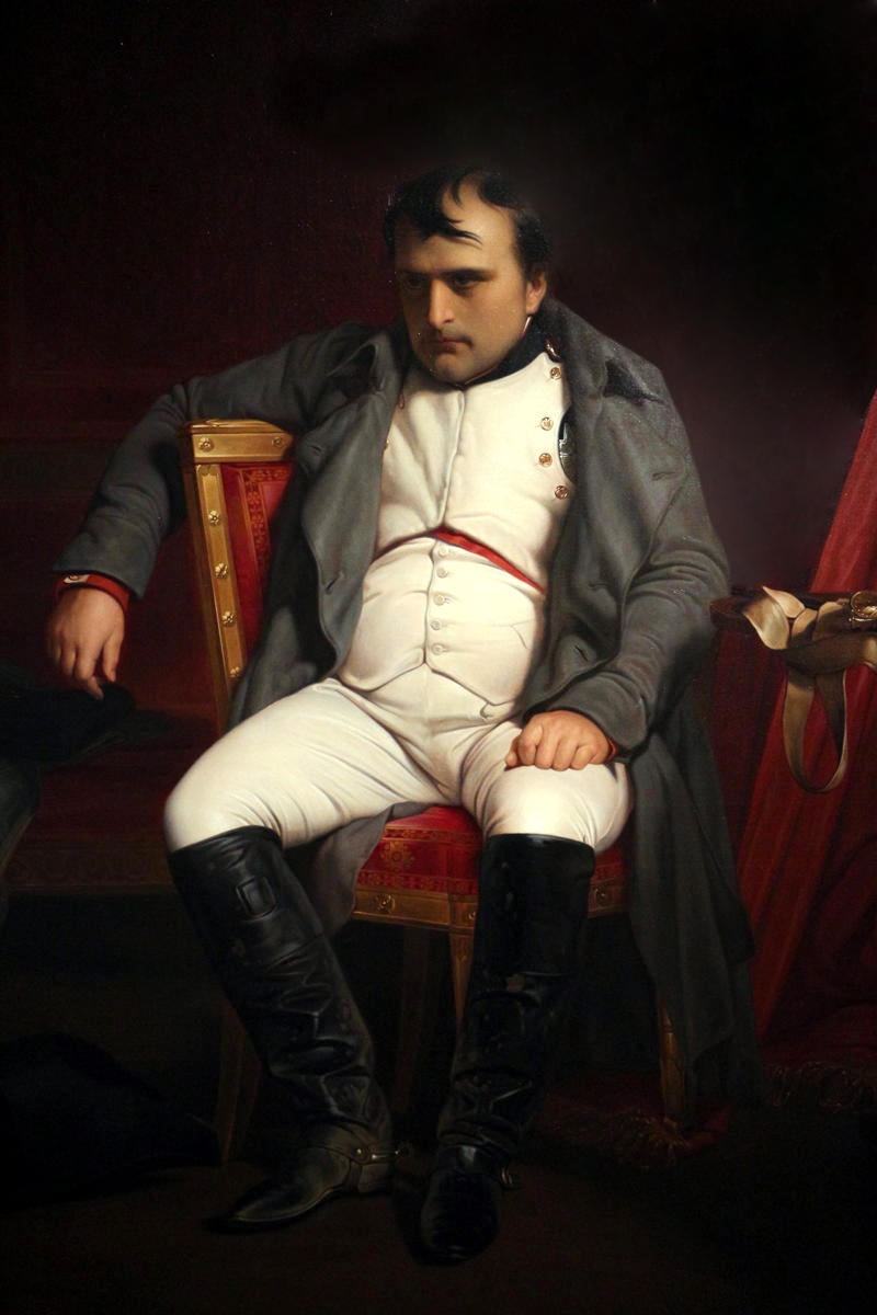 Napoleon I at Fontainebleau by Paul Delaroche