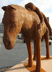Centenary Horse heads for the Senedd
