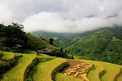 Vietnam 2017 - Hà Giang Trekking