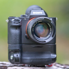 Canon nFD 50mm ƒ/1.2