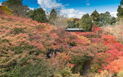 Kyoto 2017