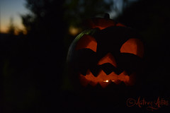 Halloween Pumpkin - Citrouille d'Halloween