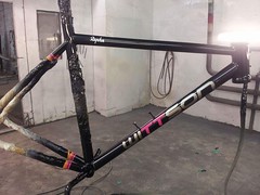 Painted Titanium Bike Frames