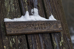 Dungeness River