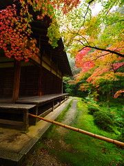 京都西芳寺 Kyoto  Saiho-ji Temple