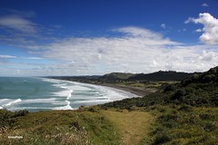 MURIWAI ( Nueva Zelanda)