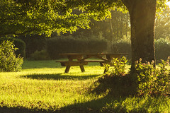 Wooden bench in sunlight