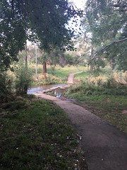 Canberra Nature Park 2017