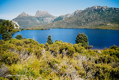 Cradle Mountain National Park Tasmania Australia