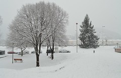 Episode neigeux exceptionnel sur Alès et le Gard 28 février 2018 12 cm sur Alès