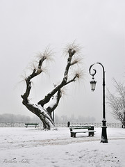 Annecy sous la neige.