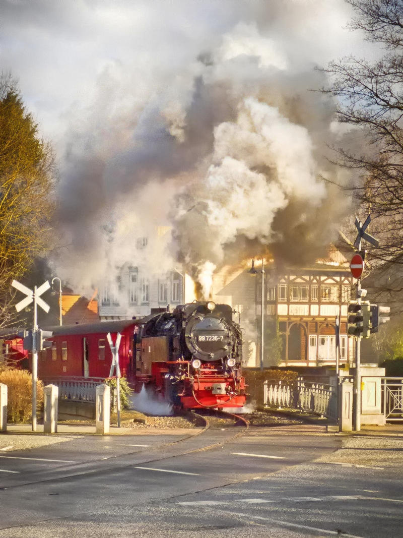 Wernigerode narrow gauge steam railway. Credit Gerry Balding