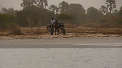 Senegal 12 Saloum delta NP and Mar Lodj
