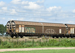 Rail Cargo Wagon RCW