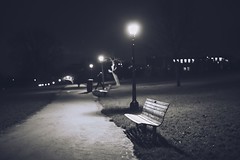 Primrose Hill Park at Night [BW]