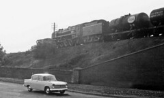 Steam in the 60s Thorne