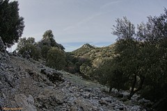 En las sierras de Huétor y Arana. Granada.