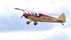 Piper PA-12