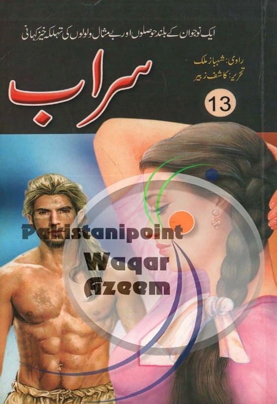 Sarab Part 13  is a very well written complex script novel which depicts normal emotions and behaviour of human like love hate greed power and fear, writen by Kashif Zubair , Kashif Zubair is a very famous and popular specialy among female readers