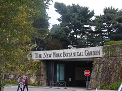 New York Botanical Garden Oct 2017