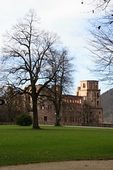 20180103-Heidelberg-Neckar-Schloss