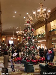 Festival of Trees and Teddy Bear Suite at Fairmont Olympic Hotel