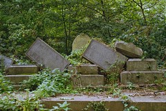 Abney Park Cemetery