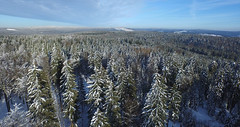 Winter Vogtland