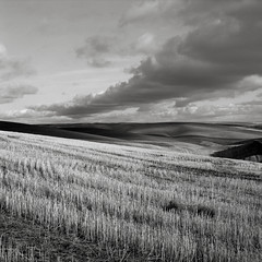 The Palouse Deluxe